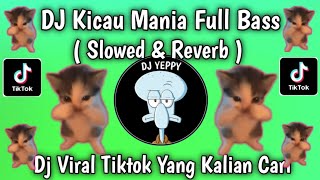Download lagu DJ KICAU MANIA REMIX FULL BASS ( SLOWED & REVERB ) BY MAMAN FVNDY VIRAL TIKTOK 2026 mp3