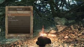 #4 PC版 ダークソウル２ 3周目