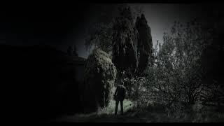 The Final Image // Walkthrough // 2019