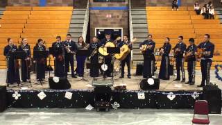 Mariachi Questa! Carabina 30-30