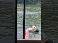 Lady Using Herself as a Floater While Swimming With Her Dog