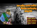 An Easy Way To See Other People S Companion Genies Without Practice Without Penance