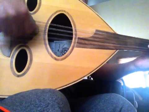 mohammed abdelwahab setelhabayeb