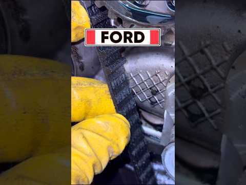 Ford 2.0 EcoBlue Won’t Start | Wet Timing Belt Failure Diagnosis.