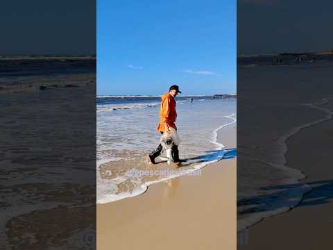 Tarrafeador Almeri, na pegada de tainhas, Praia de Imbé, RS. #pescadetarrafa #tainhas #alimentos