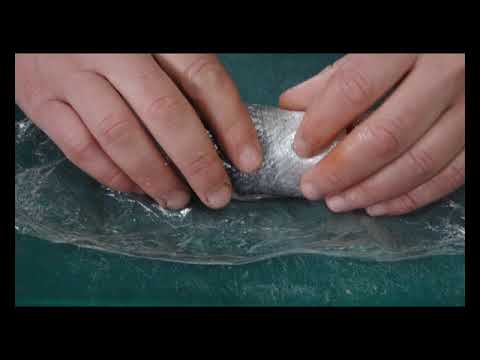 Në orën e mesimit   🐟🐟 Levrek Role