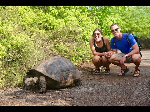 Cruise video 5