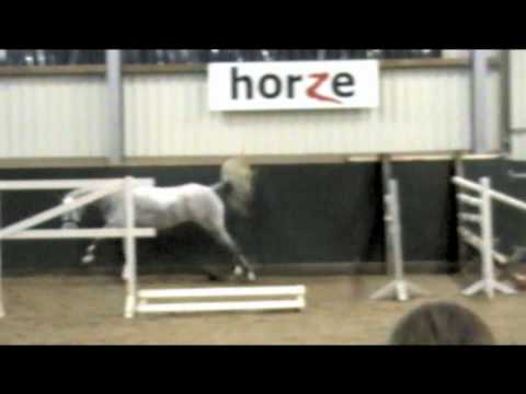 Freispringen PZV Rotenburg