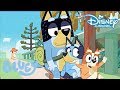 Bluey | Bluey en Bingo's Top 5 Spelletjes! ? | Disney Channel NL