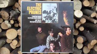 The Electric Prunes  Try me on for size