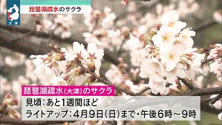 ３月２６日 びわ湖放送ニュース