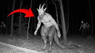 Trail Camera Captured Creatures What No One Was Supposed to SEE!