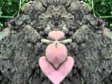 Dreamatik - Geometric Tree - Tour De Traum V