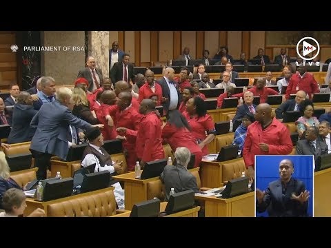 ‘Racist! Pay back the money!’ Scuffle breaks out in parliament between DA and EFF
