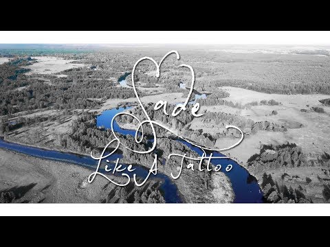 download lagu mp3 mp4 Sade Like A Tattoo Lyrics, download mp3 Sade Like A Tattoo Lyrics free downloadn, video klip Sade Like A Tattoo Lyrics