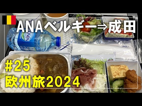 Nuvola アプリ gaim.png