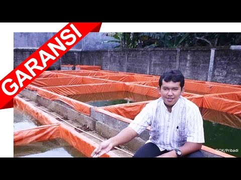 Penurunan potensi setelah 40 Jelatang jelatang untuk potensi