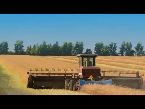 Who is Agrisoma and what do we do?