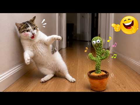 Funny Cats and Dogs 2026 😂 | TRY NOT TO LAUGH - Funniest Animal Fails Ever Recorded Online HD 🤣🐶