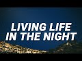 Living Life In The Night - Cheriimoya (Lyrics) ft. Sierra Kidd