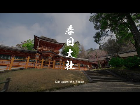 映像で見る文化財編 -春日大社-