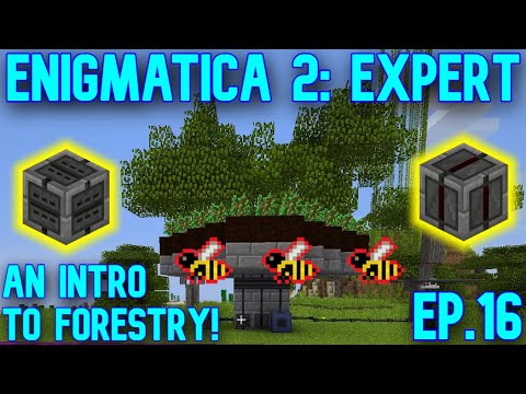 A (mostly) In-Depth Look into Forestry! | Minecraft: E2E ep.16
