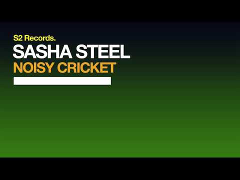 Sasha Steel - Noisy Cricket (Teaser)
