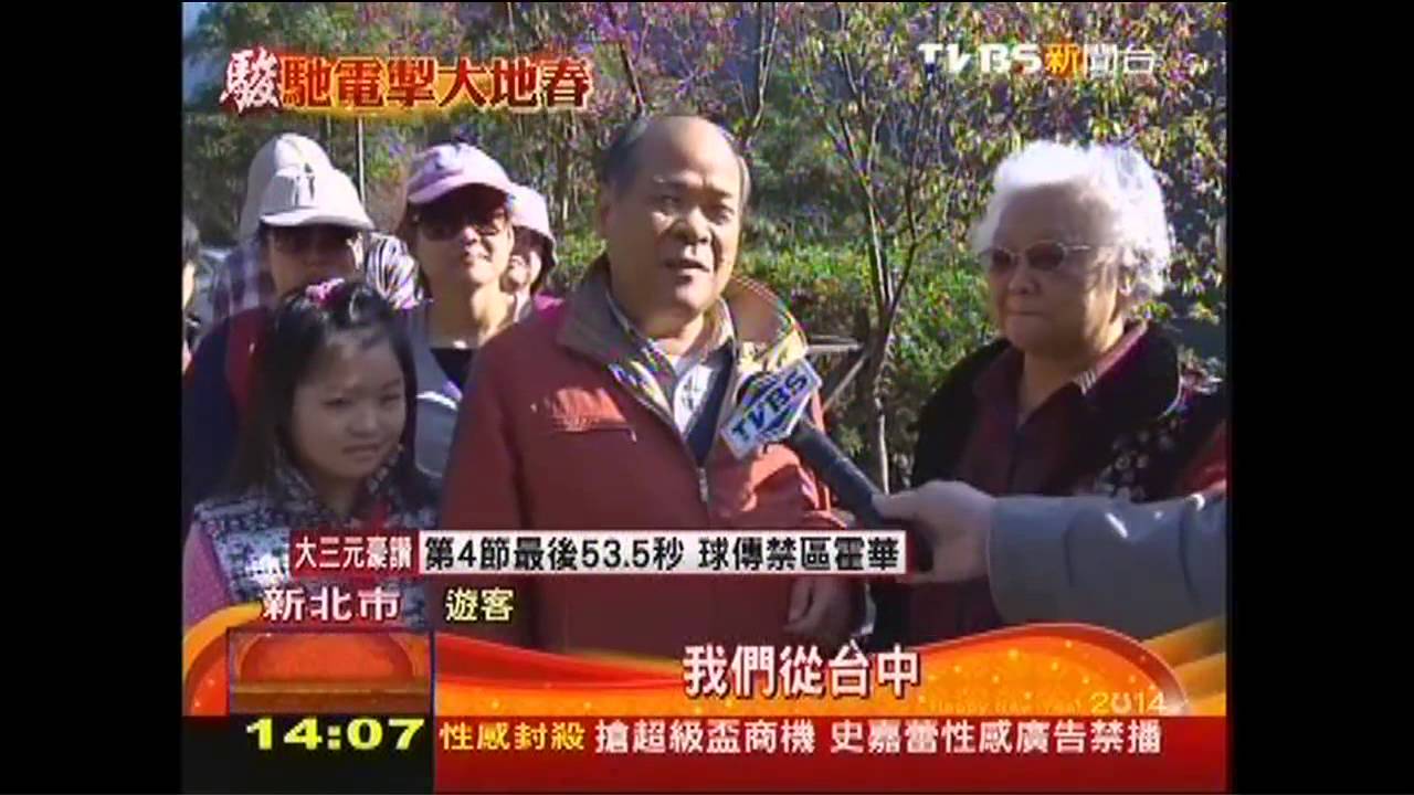 暖春!櫻花早開染紅烏來 遊客多5成