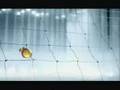Castrol Magnatec Ad With Rahul Dravid Adam Gilchrist