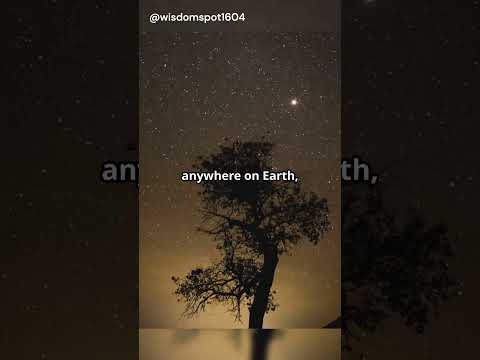 Orion: The Hunter in the Sky!