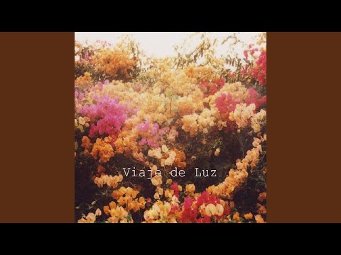 Try To Hide Rayo De Luz Tobogan Andaluz try to hide