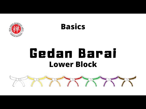 Basics 4 Gedan Barai