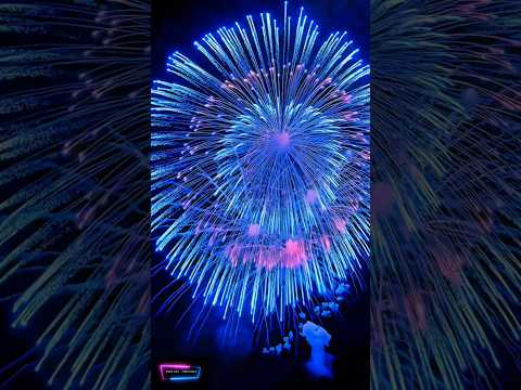 Beautiful blue fireworks 💥💥💥 #fireworks #phaohoa