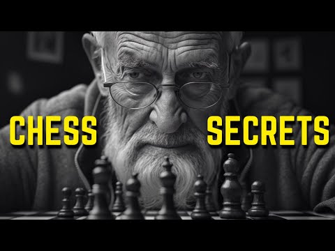 25 Chess Principles For Beginners (with examples)