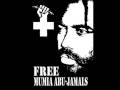 Mumia Abu-Jamal -- Another Rap on Rapping, Real Hip Hop And Her Cultural Impact
