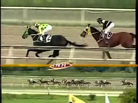 11ma Carrera Domingo 01 Diciembre 2013 LA RINCONADA