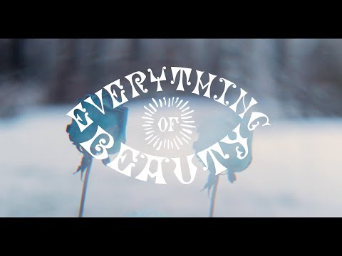 Les Deuxluxes - Everything of Beauty