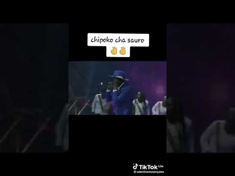chipoko chaSauro Chakamuka
