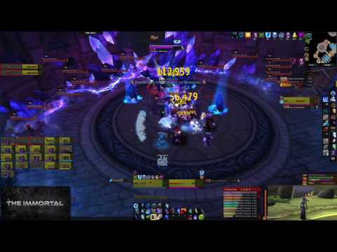 The Immortal- Heroic Skorpyron