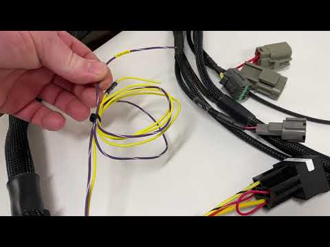 RWD Honda K series Swap Harness now available at Wiring Specialties