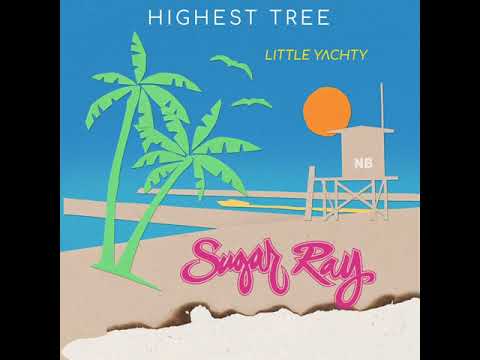 Video thumbnail for Highest Tree