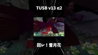 【TUSB v13】回レ！雪月花 #tusb # #minecraft