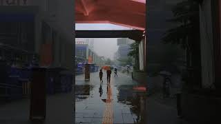 Download lagu LAGI NEDUH WAKTU HUJAN DERAS | HALU STORY #shorts  #storyhalu #storyig #storywa mp3 Download lagu LAGI NEDUH WAKTU HUJAN DERAS | HALU STORY #shorts  #storyhalu #storyig #storywa mp3