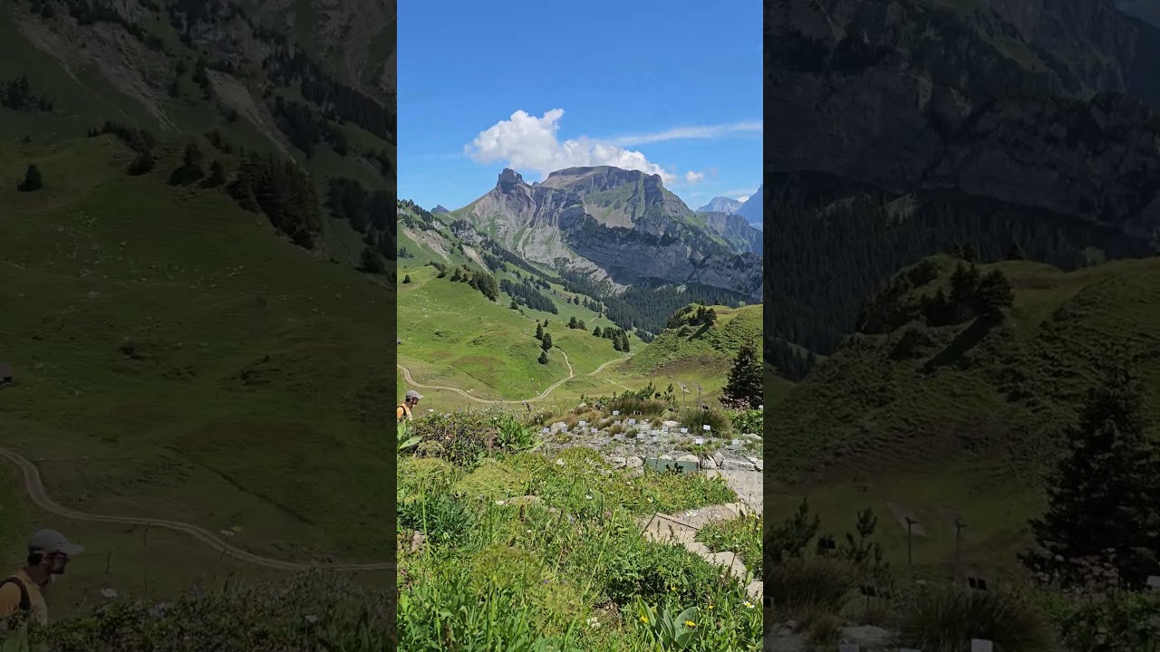 YouTube Short thumbnail