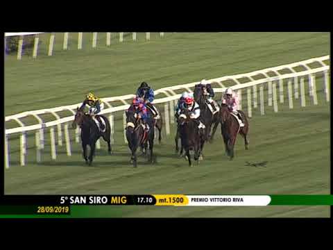 2019.09.28 Premio Vittorio Riva (ITA) - Elaire Noire