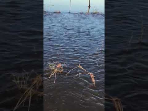 La ruta nacional número 44 a la altura del puente “Mazangano” está bajo agua