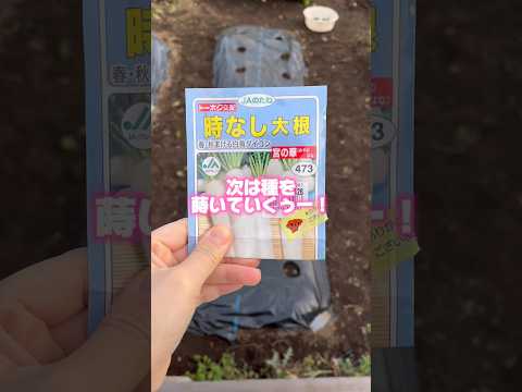  2023年春の月に合わせて大根の種まきはいつ？成功するにはどうすればよいでしょうか?完全なガイド  庭園