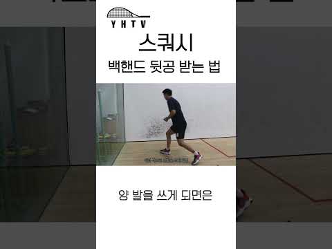 스쿼시 백핸드 뒷공 받기#shorts #쇼츠