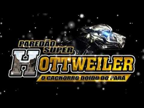 PAULINHO DA ADIDAS E MC BIEL BH - PRESSÃO DA HOTTWEILER 2020