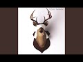 Wild Turkey - El Gato - Topic Wild Turkey